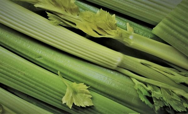 Celery contains aphrodisiac essential oil